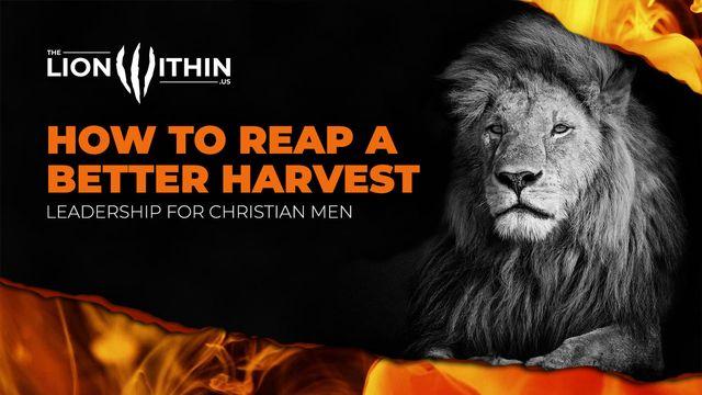 TheLionWithin.Us: How to Reap a Better Harvest