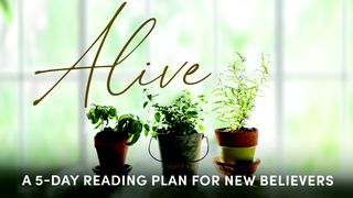 Alive: Grow in Your Relationship With Jesus Hebrews 10:8-10 King James Version