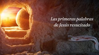 Las primeras palabras de Jesús resucitado JUAN 10:28 La Palabra (versión hispanoamericana)