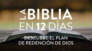 La Biblia en 12 Días: Descubre El Plan de Redención de Dios S. Mateo 3:16 Biblia Reina Valera 1960