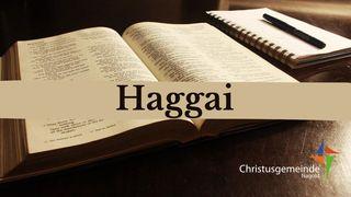 Haggai Haggai 2:16-20 Hoffnung für alle