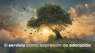 El Servicio Como Expresión De Adoración Juan 15:21 Nueva Versión Internacional - Español