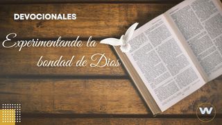 Experimentando la bondad de Dios SALMOS 27:13 La Palabra (versión española)