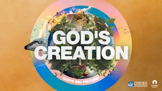God’s Creation Psalms 8:5-8 The Message
