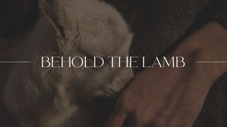 Behold the Lamb Isaiah 52:13-15 The Message