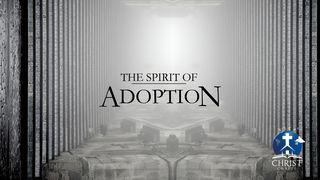 The Spirit Of Adoption Leviticus 20:11 New Living Translation