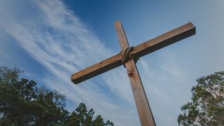 Why the Cross? Salmos 31:5 Nueva Traducción Viviente