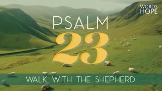 Psalm 23: Walk With the Shepherd Exodus 34:10 New Living Translation