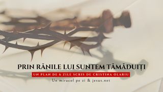 Prin rănile Lui suntem tămăduiți Ioan 1:3 Noua Traducere Românească