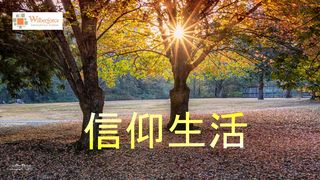 信仰生活 マタイによる福音書 6:30 Japanese: 聖書　口語訳