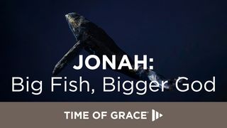 Jonah: Big Fish, Bigger God Jonah 4:10-11 New Living Translation
