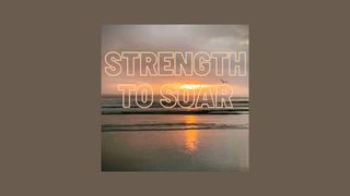 Strength to Soar by Toni LaShaun Isaiah 40:12-17 The Message