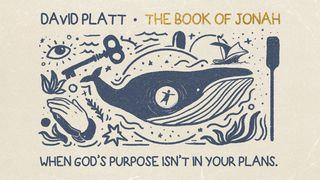The Book of Jonah: When God’s Purpose Isn’t in Your Plans Jonah 1:4-6 The Message