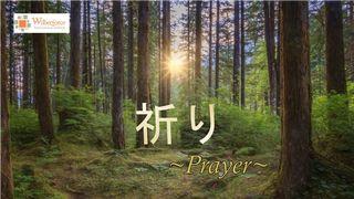 祈り｜Prayer コリント人への手紙Ⅱ 12:9 リビングバイブル