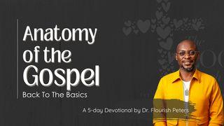 Anatomy of the Gospel - Back to the Basics  Genesis 27:28-29 English Standard Version 2016