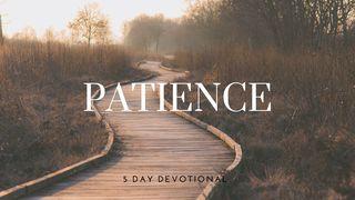 Patience Romans 2:4-11 English Standard Version 2016