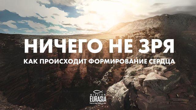 Ничего не зря. Как происходит формирование сердца?