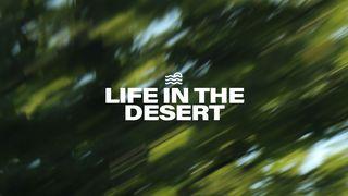 Life in the Desert John 4:20 New Living Translation