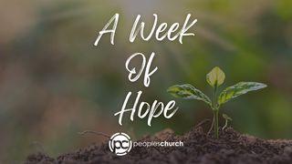 A Week of Hope 2 Chronicles 20:4 New Living Translation