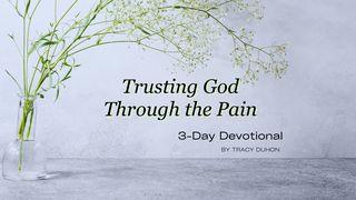 Trusting God Through the Pain Psalm 34:18 Amplified Bible, Classic Edition