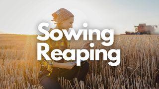 Sowing and Reaping 2 Corinthians 9:6-8 New International Version