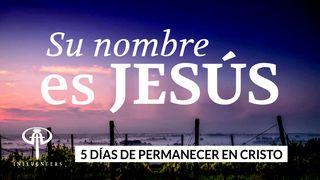 Su Nombre es Jesús Juan 2:25 Nueva Versión Internacional - Español