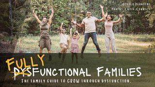 Fully Functional Family: The Family Guide to GROW Through Dysfunction. Genesis 33:4 Contemporary English Version Interconfessional Edition