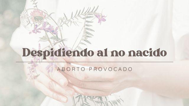 Despidiendo Al No Nacido (Aborto Provocado)