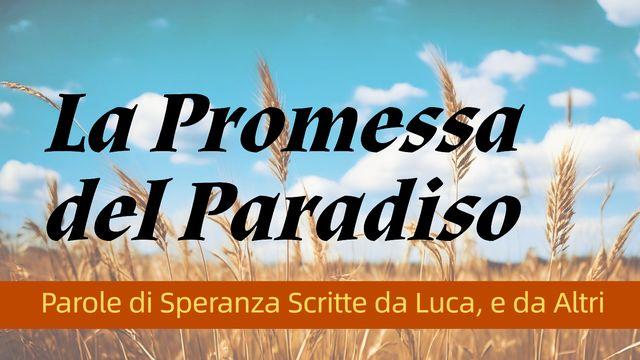 La Promessa del Paradiso
