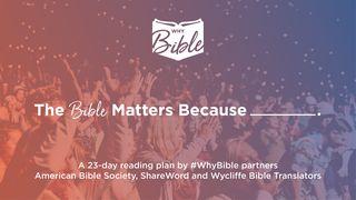 The Bible Matters Because _______________.   The Books of the Bible NT