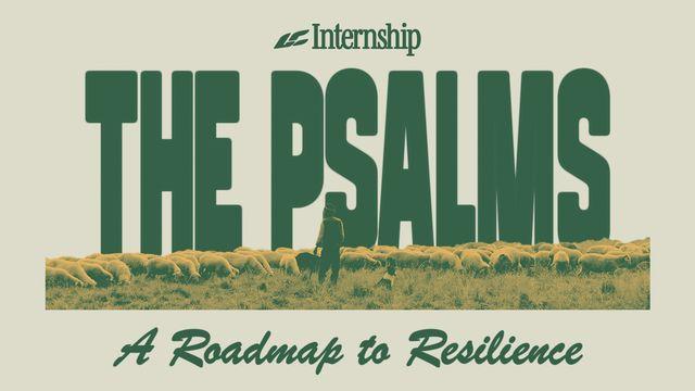 The Psalms: A Roadmap to Resilience