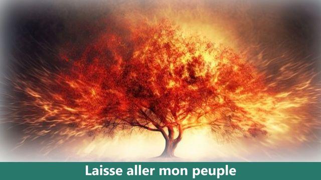 Laisse aller mon peuple