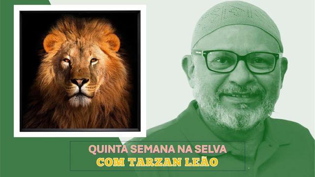 Quinta Semana Na Selva Com Tarzan Leão