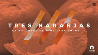 Tres Naranjas: La Voluntad De Dios Para Todos Hebreos 6:19 Traducción en Lenguaje Actual