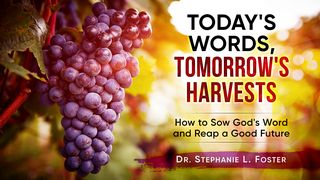 Today's Words, Tomorrow's Harvests Matthew 12:37 New Living Translation