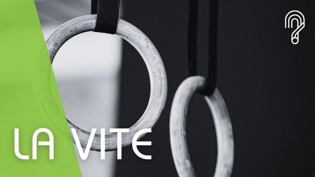 La Vite