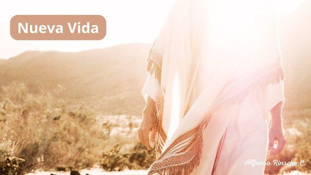 Vida Nueva