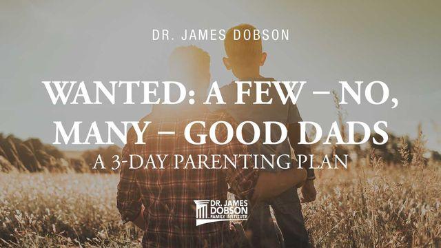 Wanted: A Few – No, Many – Good Dads: A 3-Day Parenting Plan