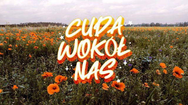 Cuda wokół nas