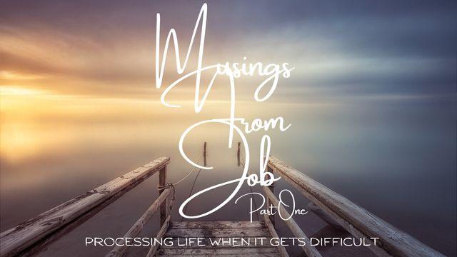 Musings From Job Pt.1