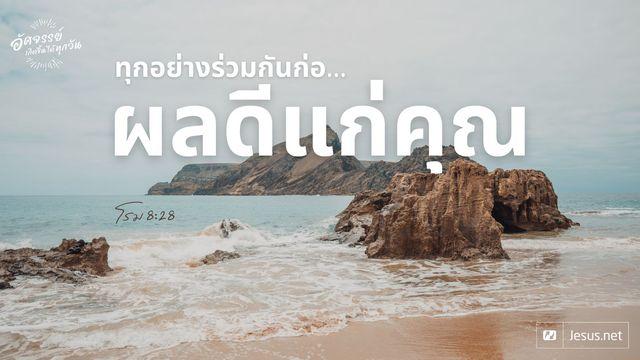 โรม 8:28 ทุกอย่างร่วมกันก่อผลดีแก่คุณ