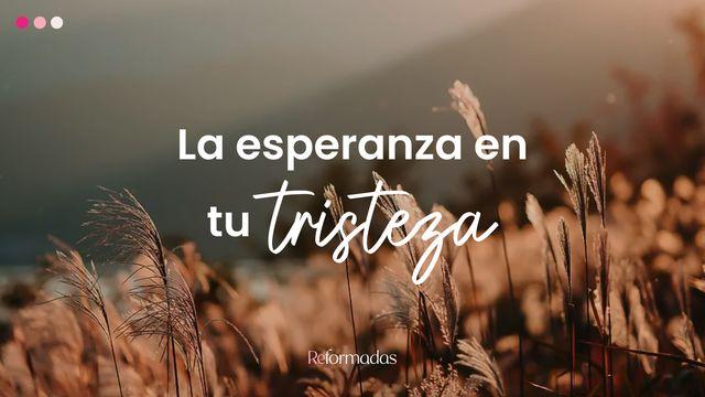 La Esperanza en Tu Tristeza