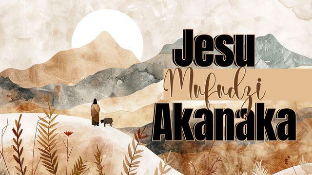 Jesu Mufudzi Akanaka