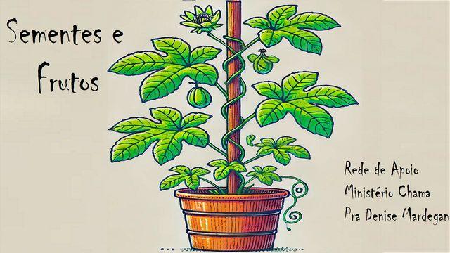 Sementes e Frutos