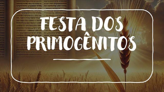 Festa dos Primogênitos