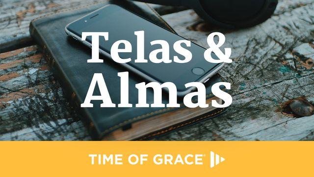 Telas & Almas