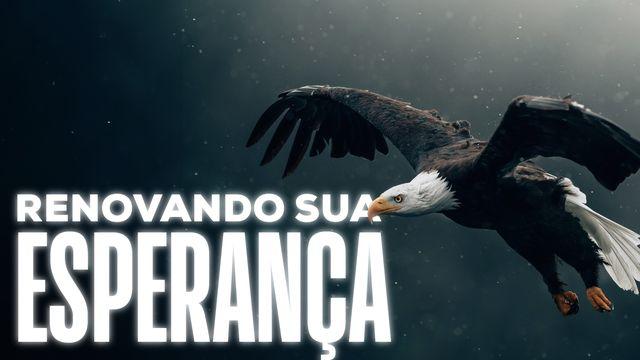 Renovando a Esperança