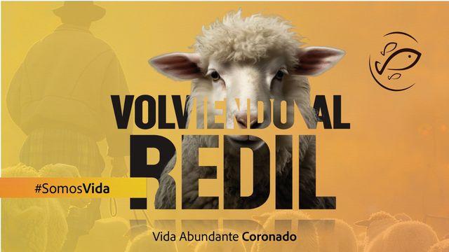 Volviendo al redill