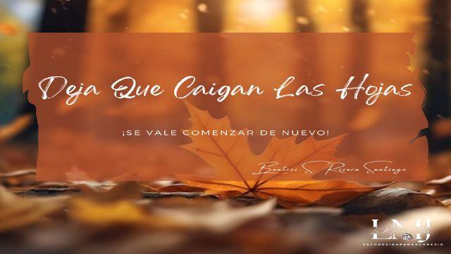 Deja que caigan las hojas