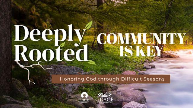 [Deeply Rooted] Community Is Key